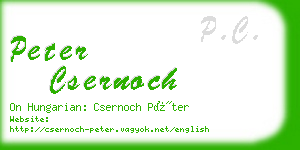 peter csernoch business card